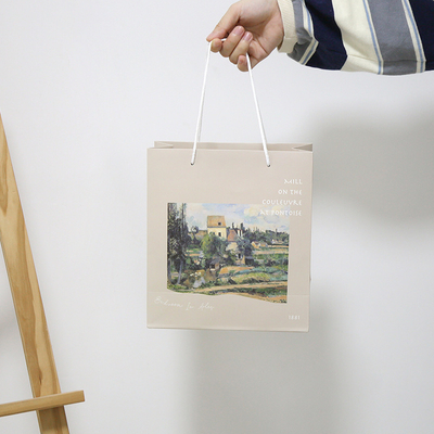 Recyclable Eco - Friendly Paper Gift Bags Logo Boutique Paper Paper Bags Printed Shopping Bag