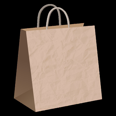 Custom Printed Packaging Recyclable Recycled Small Luxury Gift Kraft Paper Shopping Bags